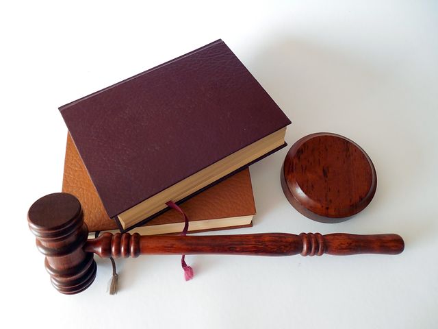 gavel and a law book